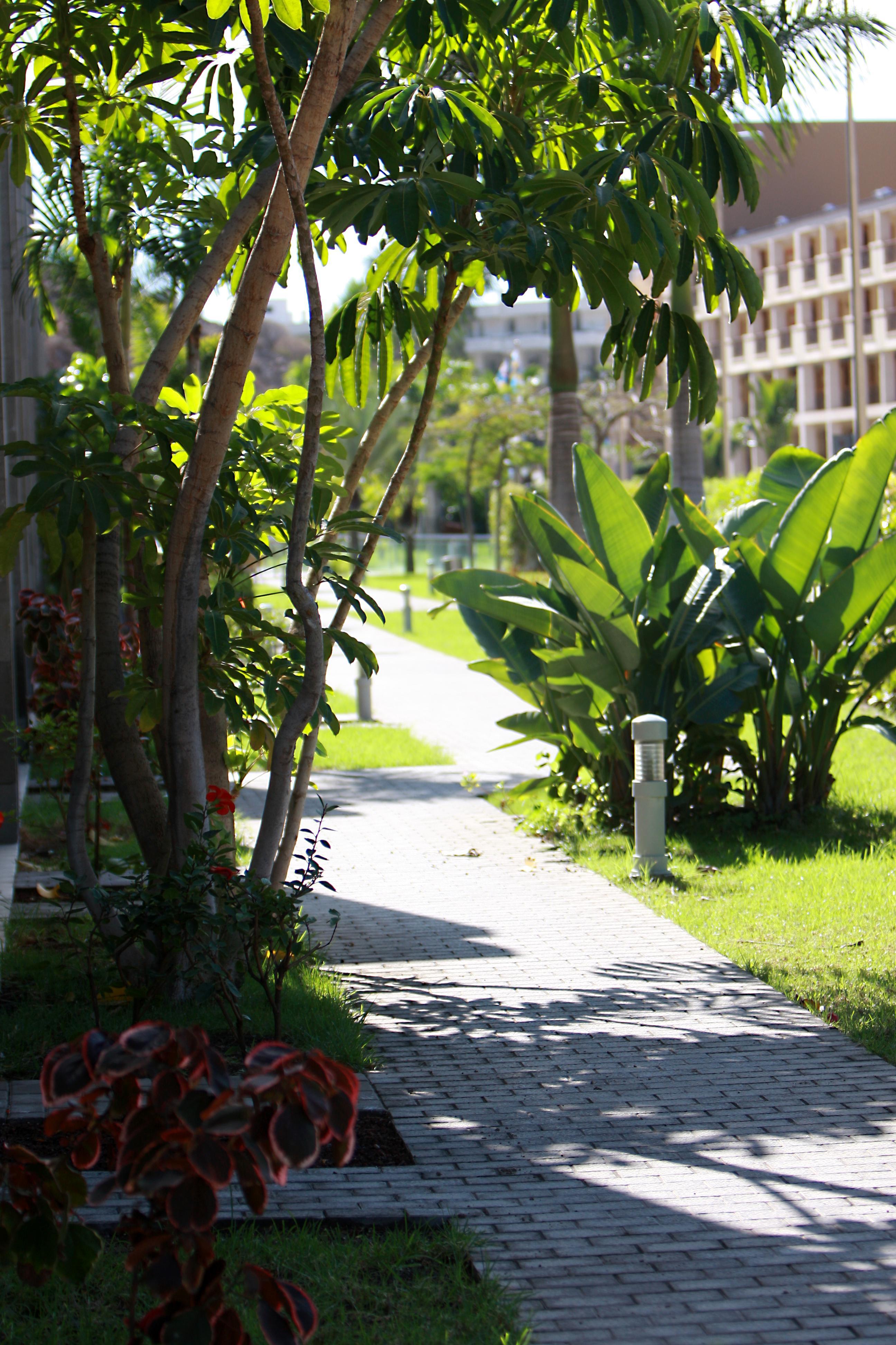 Hotel Livvo Costa Taurito & Aquapark (Adults Only) מראה חיצוני תמונה